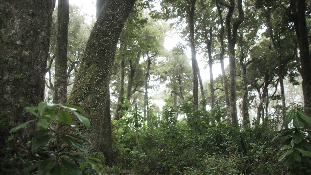 200910 sus cover wide 1500