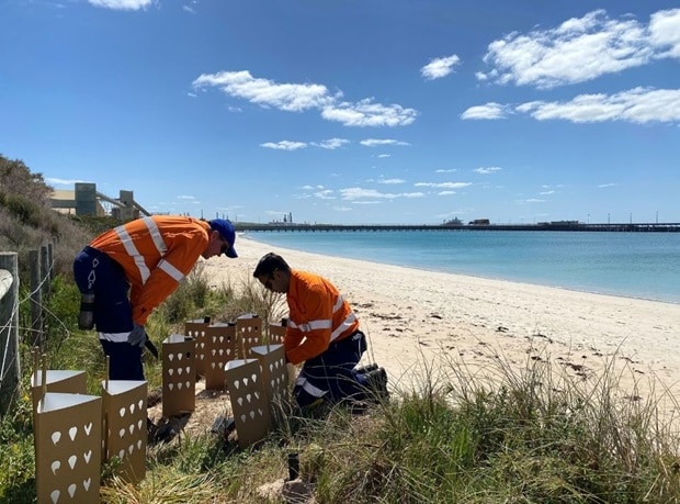 210628 nickelwest men1